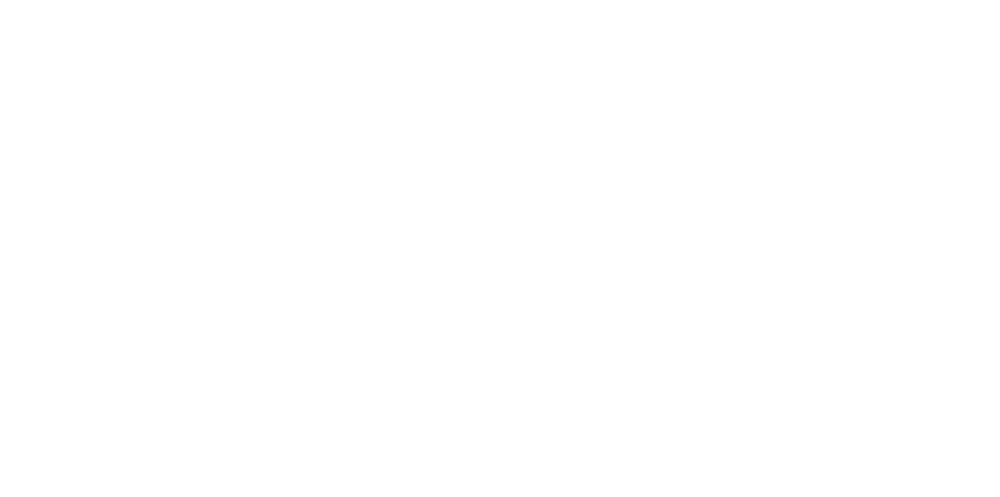 LOGO TOPREALTOR blanco